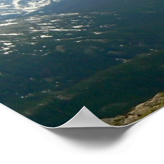 Rocky Mountain Elk Poster (Hoek)