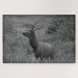 Rocky Mountain Elk - RMNP - 20x30 - 1014 pcs Legpuzzel