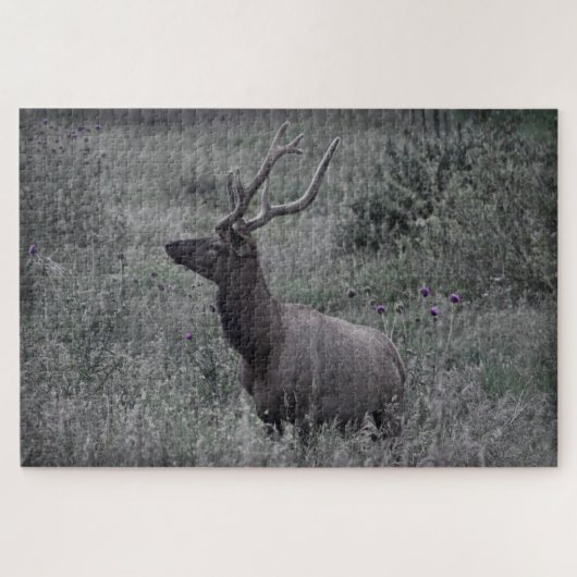 Rocky Mountain Elk - RMNP - 20x30 - 1014 pcs Legpuzzel (Horizontaal)