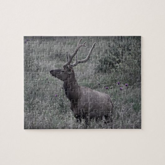 Rocky Mountain Elk - RMNP - 8x10 - 110 pc Legpuzzel (Horizontaal)