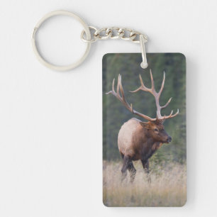 Rocky Mountain Elk Sleutelhanger