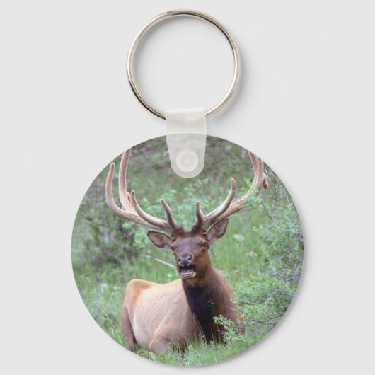 Rocky Mountain Elk Sleutelhanger (Voorkant)