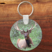 Rocky Mountain Elk Sleutelhanger (Voorkant)