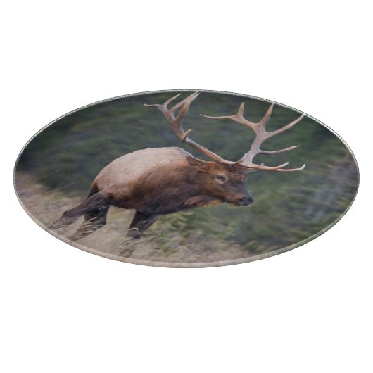 Rocky Mountain Elk Snijplank (Hoek)