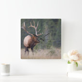 Rocky Mountain Elk Vierkante Klok (Huis)