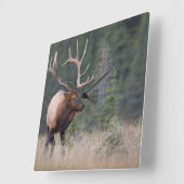 Rocky Mountain Elk Vierkante Klok (Hoek)