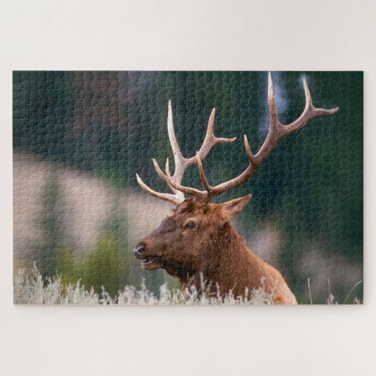 Rocky Mountain Elk Yellowstone National Park Legpuzzel (Horizontaal)