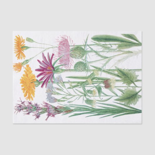 Rocky Mountain Flowers - aangepast kleurenpapier Tissuepapier (Voorkant)