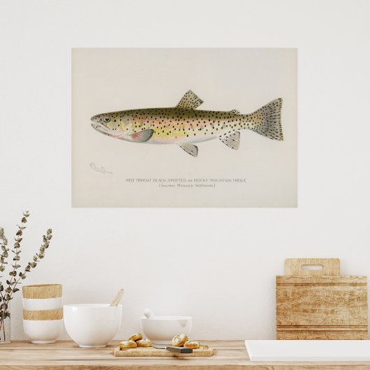 Rocky Mountain-forel kunst Poster (Keuken)