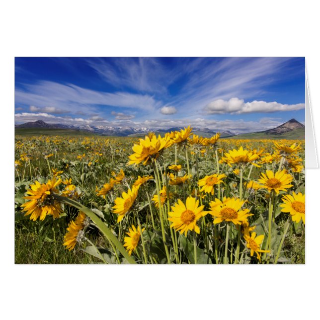 Rocky Mountain Front (Voorkant Horizontaal)