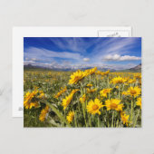 Rocky Mountain Front Briefkaart (Voorkant / Achterkant)