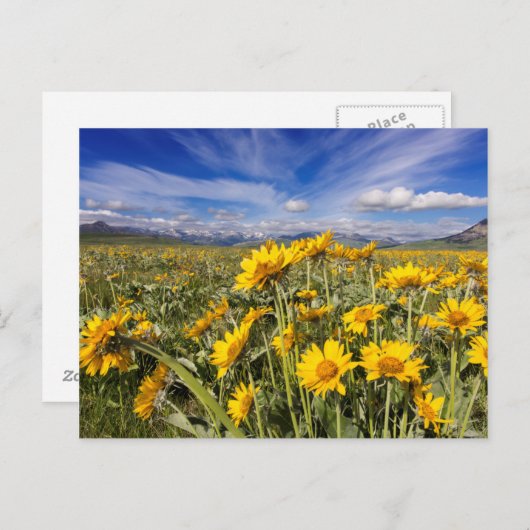 Rocky Mountain Front Briefkaart (Voorkant / Achterkant)