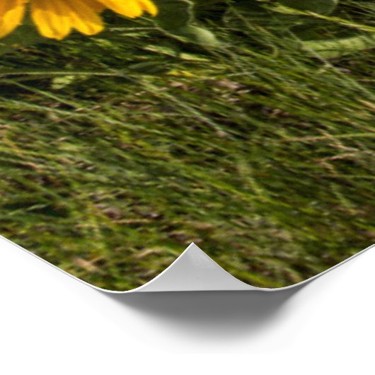 Rocky Mountain Front Poster (Hoek)