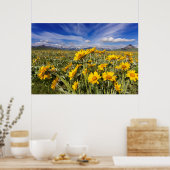 Rocky Mountain Front Poster (Keuken)