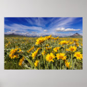 Rocky Mountain Front Poster (Voorkant)