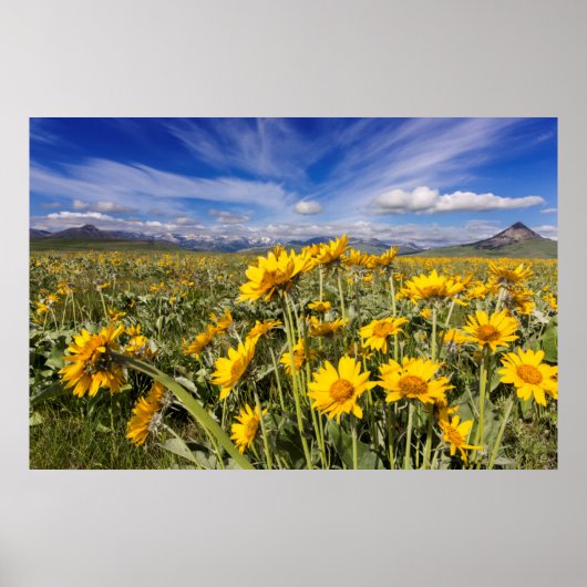 Rocky Mountain Front Poster (Voorkant)