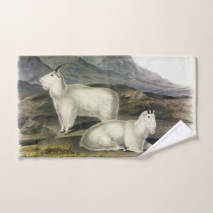 Rocky Mountain Goat (Capra Americana, Audubon) Bad Handdoek