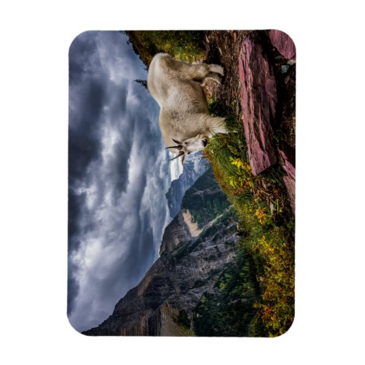 Rocky Mountain Goat Magneet (Verticaal)