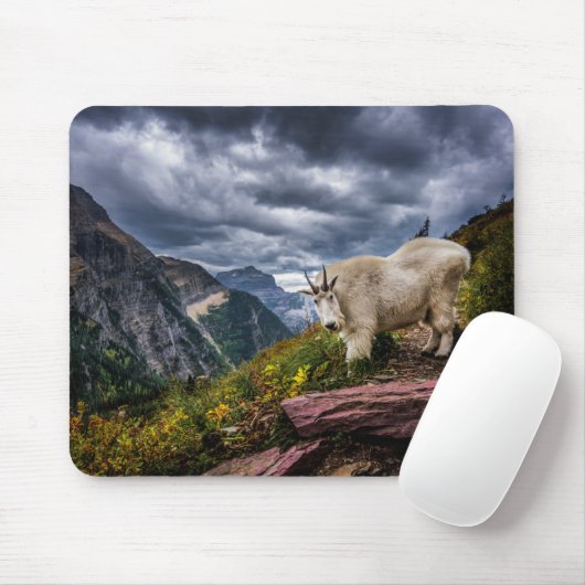 Rocky Mountain Goat Muismat (Met muis)