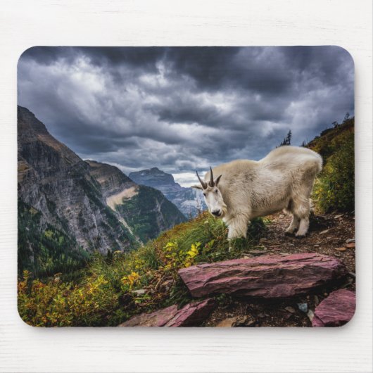 Rocky Mountain Goat Muismat (Voorkant)