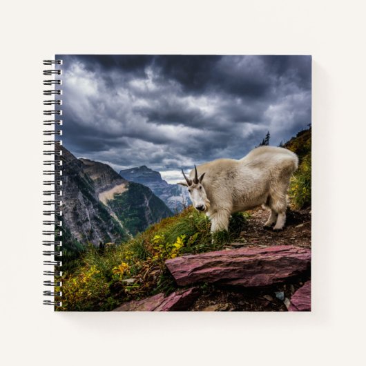 Rocky Mountain Goat Notitieboek (Voorkant)