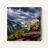 Rocky Mountain Goat Notitieboek (Achterkant)