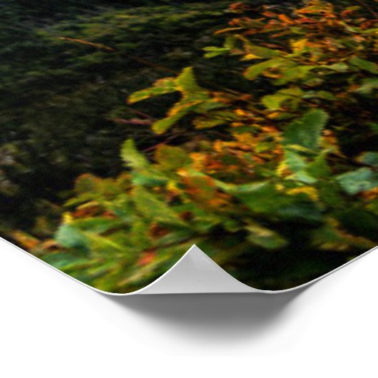 Rocky Mountain Goat Poster (Hoek)