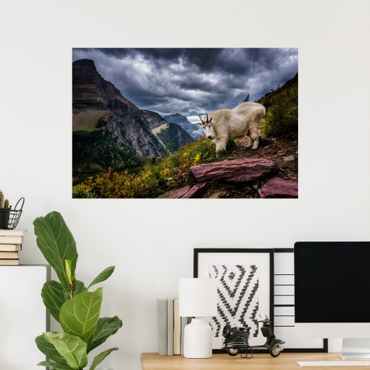 Rocky Mountain Goat Poster (Thuiskantoor)