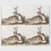 Rocky Mountain Hare (Lepus Townsendii) Cadeaupapier (Vlak)