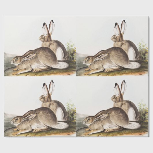 Rocky Mountain Hare (Lepus Townsendii) Cadeaupapier (Vlak)