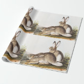 Rocky Mountain Hare (Lepus Townsendii) Cadeaupapier (Uitgerold)