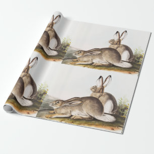 Rocky Mountain Hare (Lepus Townsendii) Cadeaupapier