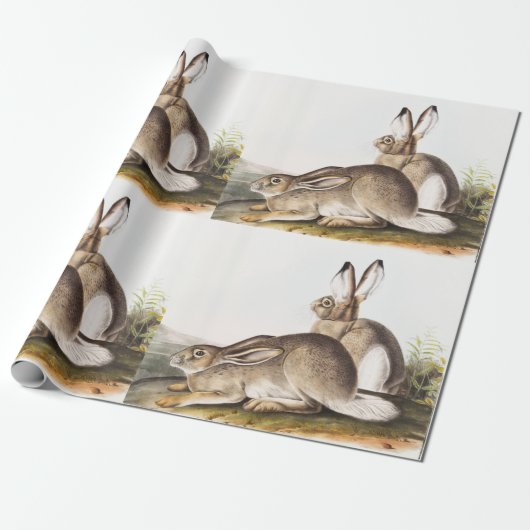 Rocky Mountain Hare (Lepus Townsendii) Cadeaupapier (Uitgerold)