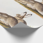 Rocky Mountain Hare (Lepus Townsendii) Cadeaupapier (Hoek)