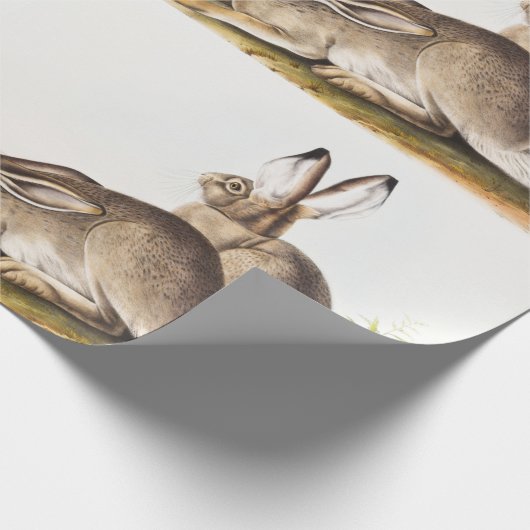 Rocky Mountain Hare (Lepus Townsendii) Cadeaupapier (Hoek)