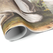 Rocky Mountain Hare (Lepus Townsendii) Cadeaupapier (Rol Hoek)