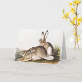 Rocky Mountain Hare (Lepus Townsendii) Kaart (Gele Bloem)
