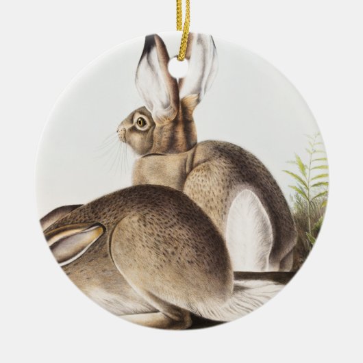 Rocky Mountain Hare (Lepus Townsendii) Keramisch Ornament (Voorkant)