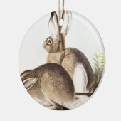 Rocky Mountain Hare (Lepus Townsendii) Keramisch Ornament (Links)