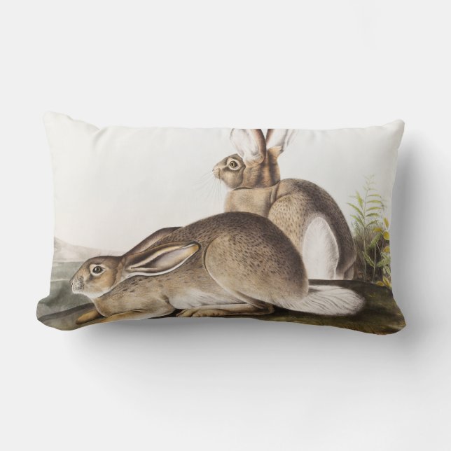 Rocky Mountain Hare (Lepus Townsendii) Kussen (Voorkant)