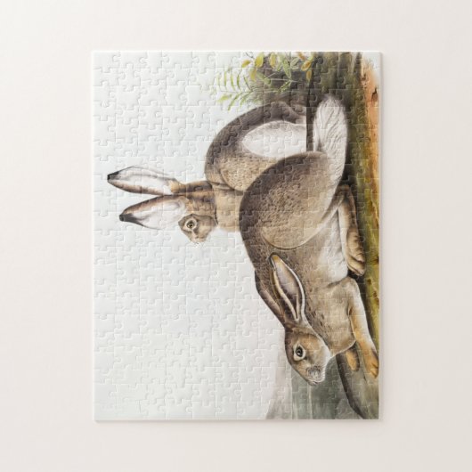 Rocky Mountain Hare (Lepus Townsendii) Legpuzzel (Verticaal)