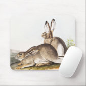 Rocky Mountain Hare (Lepus Townsendii) Muismat (Met muis)