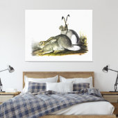 Rocky Mountain Hare of White-tailed Jackrabbit Canvas Afdruk (Insitu (Slaapkamer))