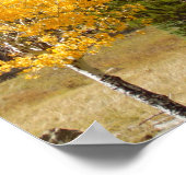 Rocky Mountain Herfst Color Natuur Wall Poster  (Hoek)