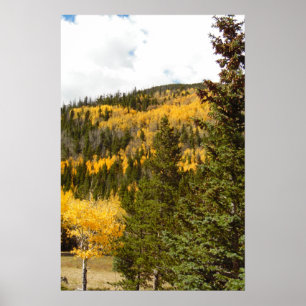 Rocky Mountain Herfst Color Natuur Wall Poster 