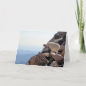 Rocky Mountain High Kaart (Voorkant)