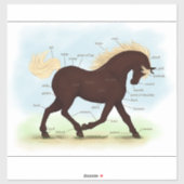 Rocky Mountain Horse Equine Anatomy Chart Sticker (Vel)