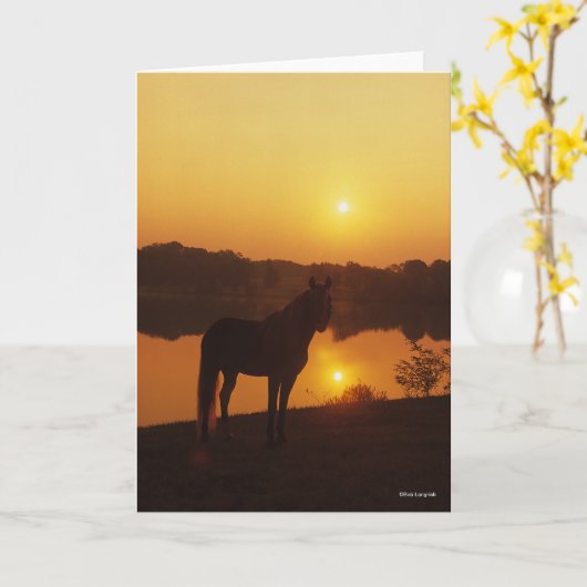 Rocky Mountain Horse in Sunset Kaart (Gele Bloem)