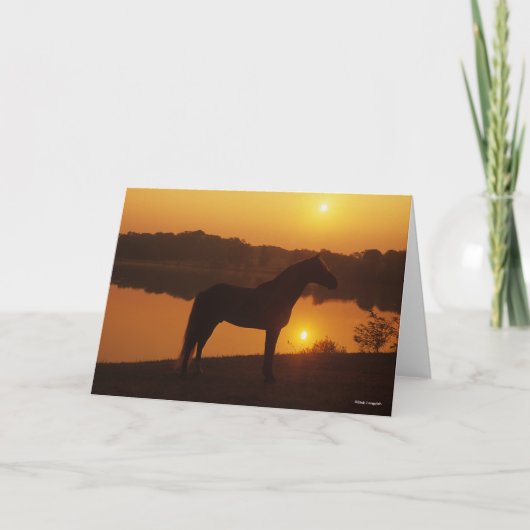 Rocky Mountain Horse in Sunset Kaart (Voorkant)