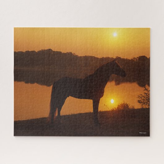 Rocky Mountain Horse in Sunset Legpuzzel (Horizontaal)